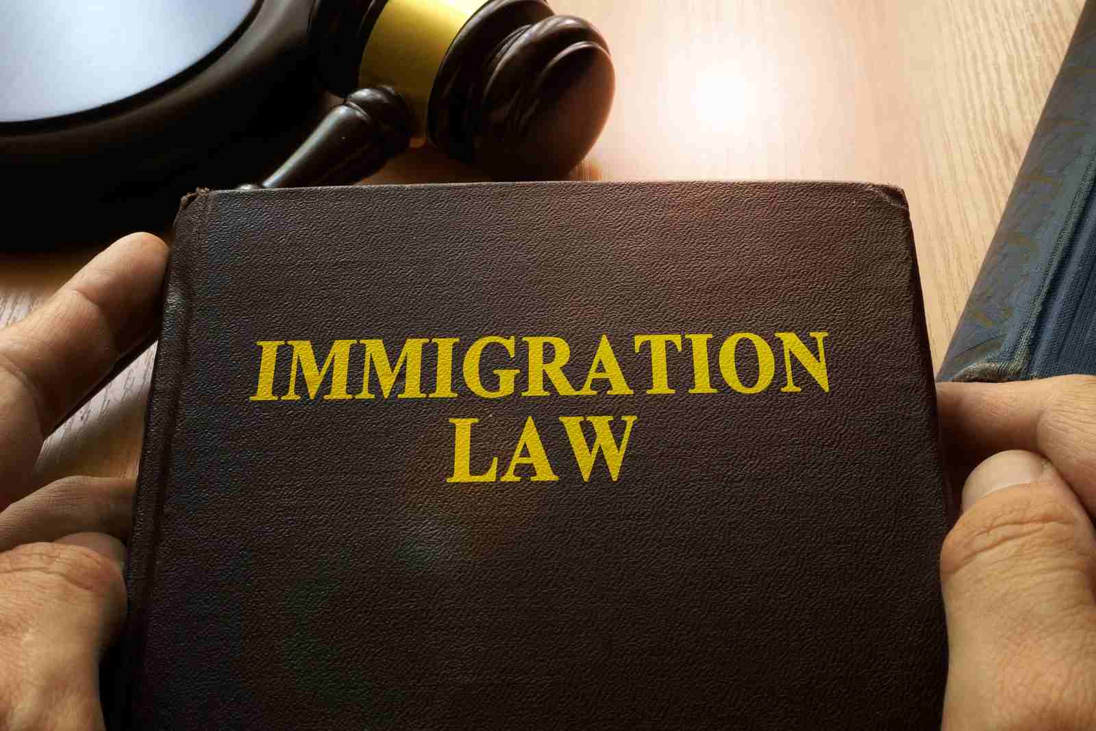 Immigration Law